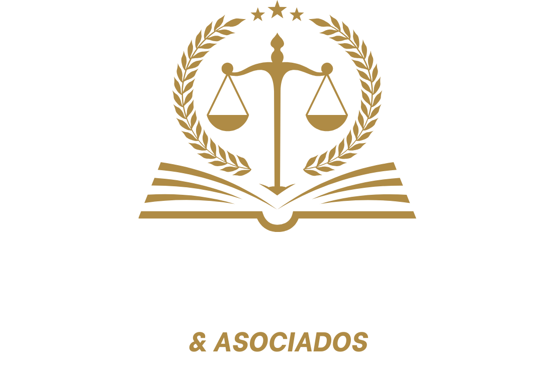 Delia Noemi Orrego Logo